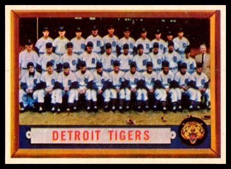 198 Tigers Team